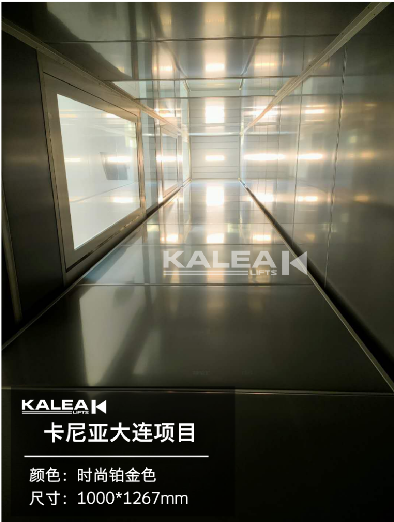 卡尼亚家用电梯KALEA K300